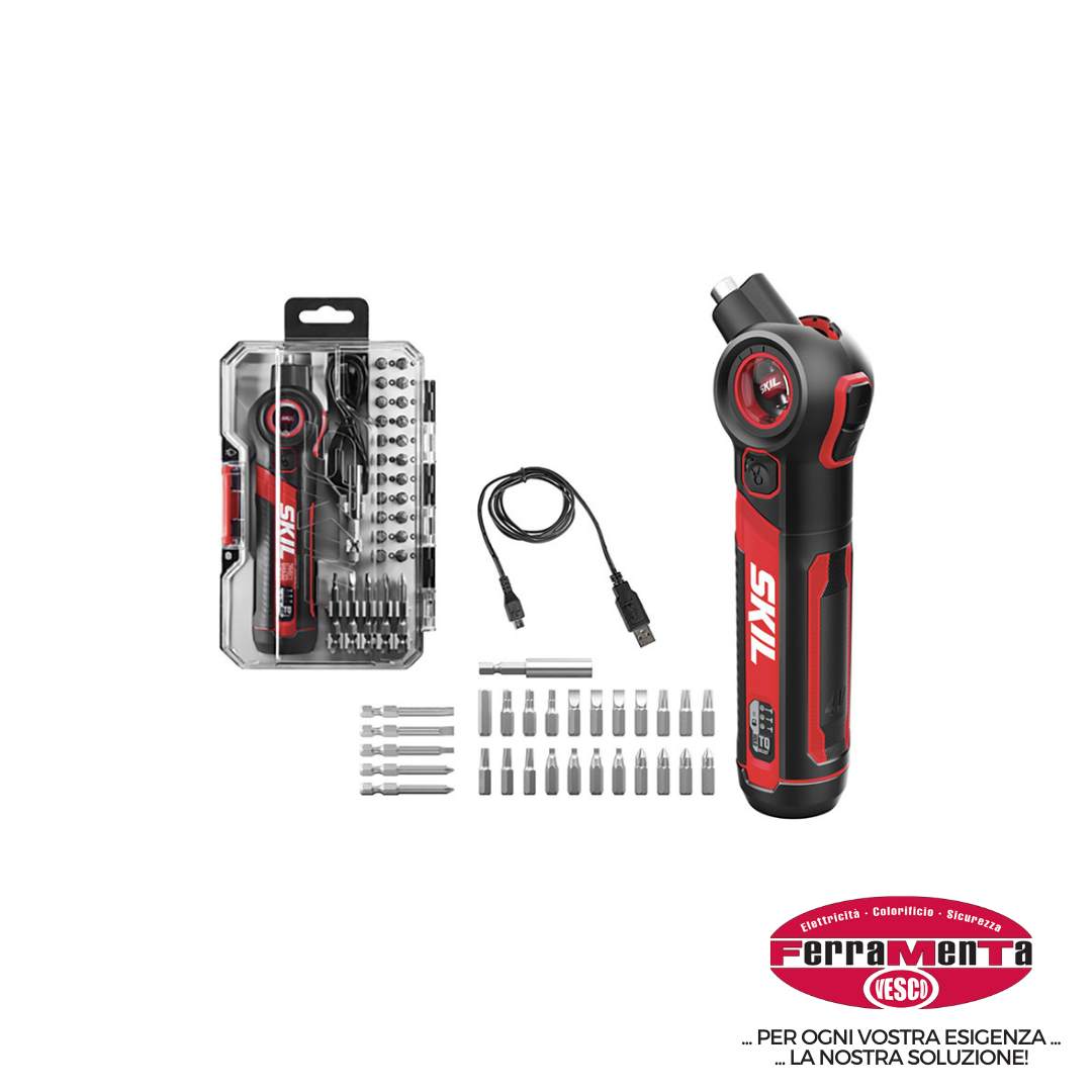 CACCIAVITI BATTERIA SKIL