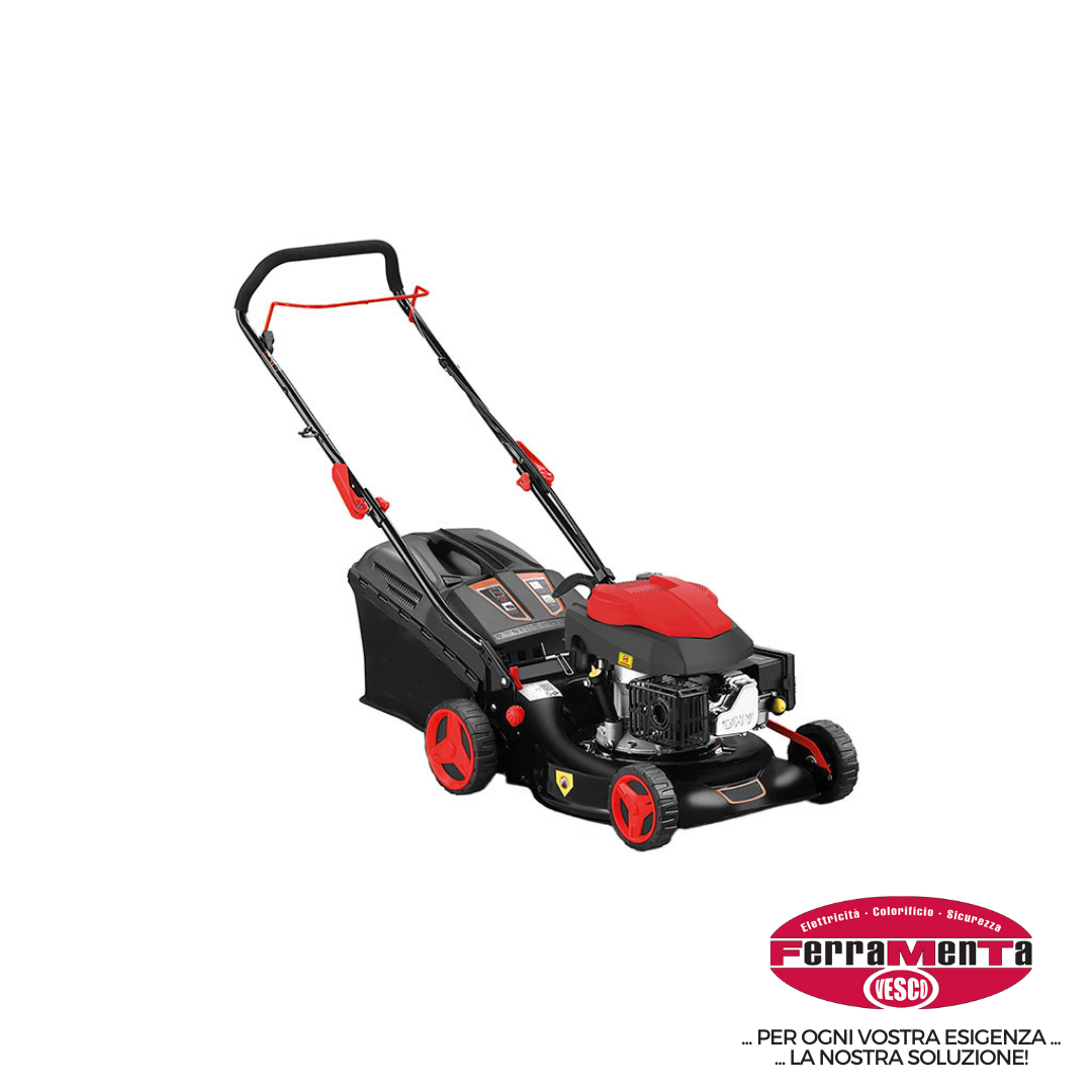 RASAERBA A SCOPPIO BLUE BIRD