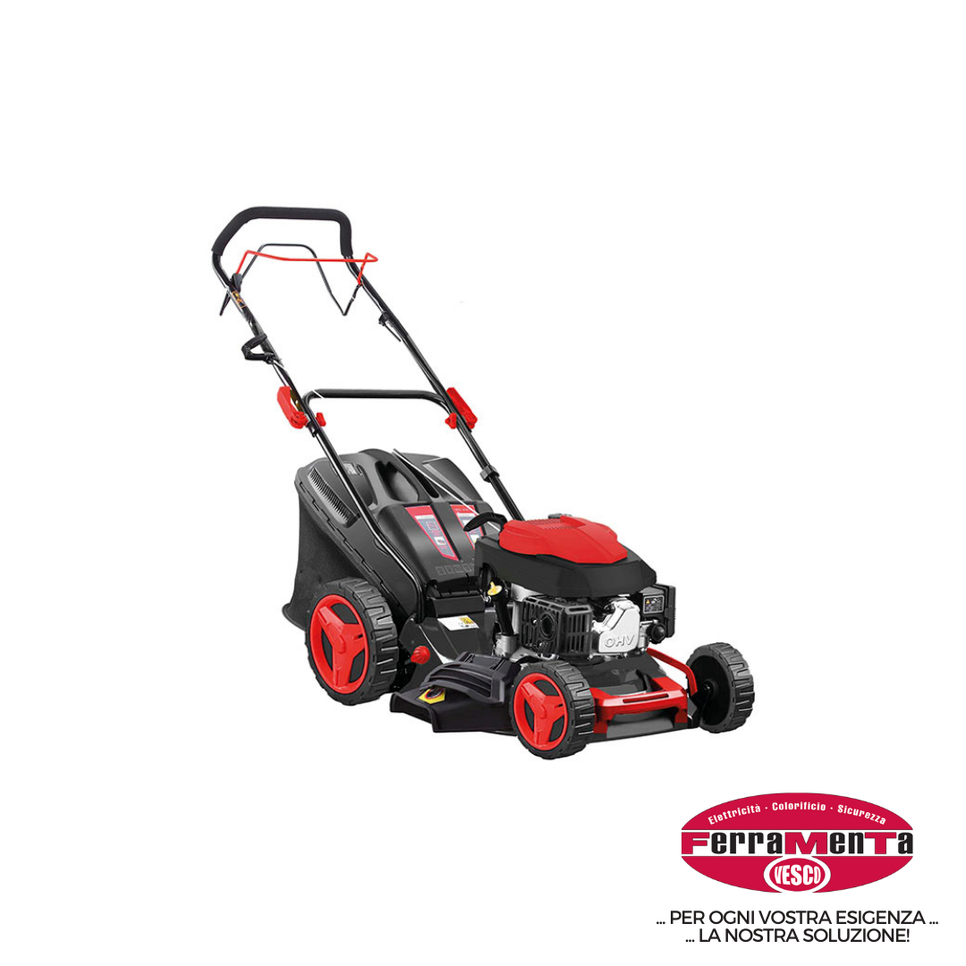 RASAERBA A SCOPPIO BLUE BIRD