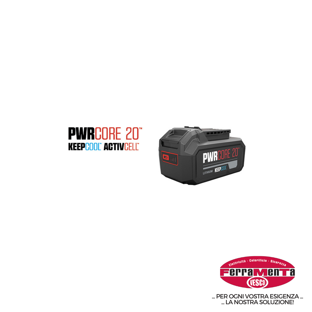 BATTERIE / CARICABATTERIE SKIL