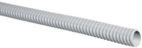 GUAINA SPIRALATA