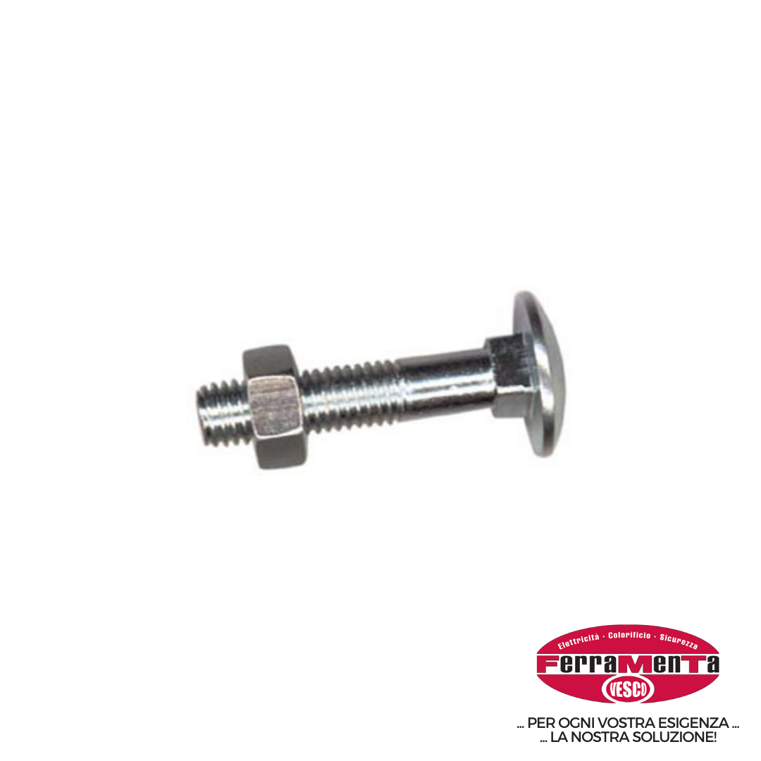 BULLONI TESTA TONDA DADO ESAGONALE