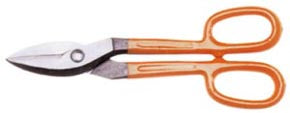 CESOIE