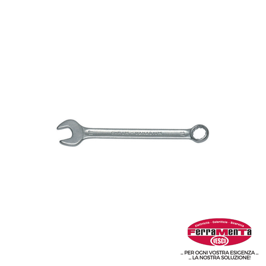 CHIAVI COMBINATE LIONS