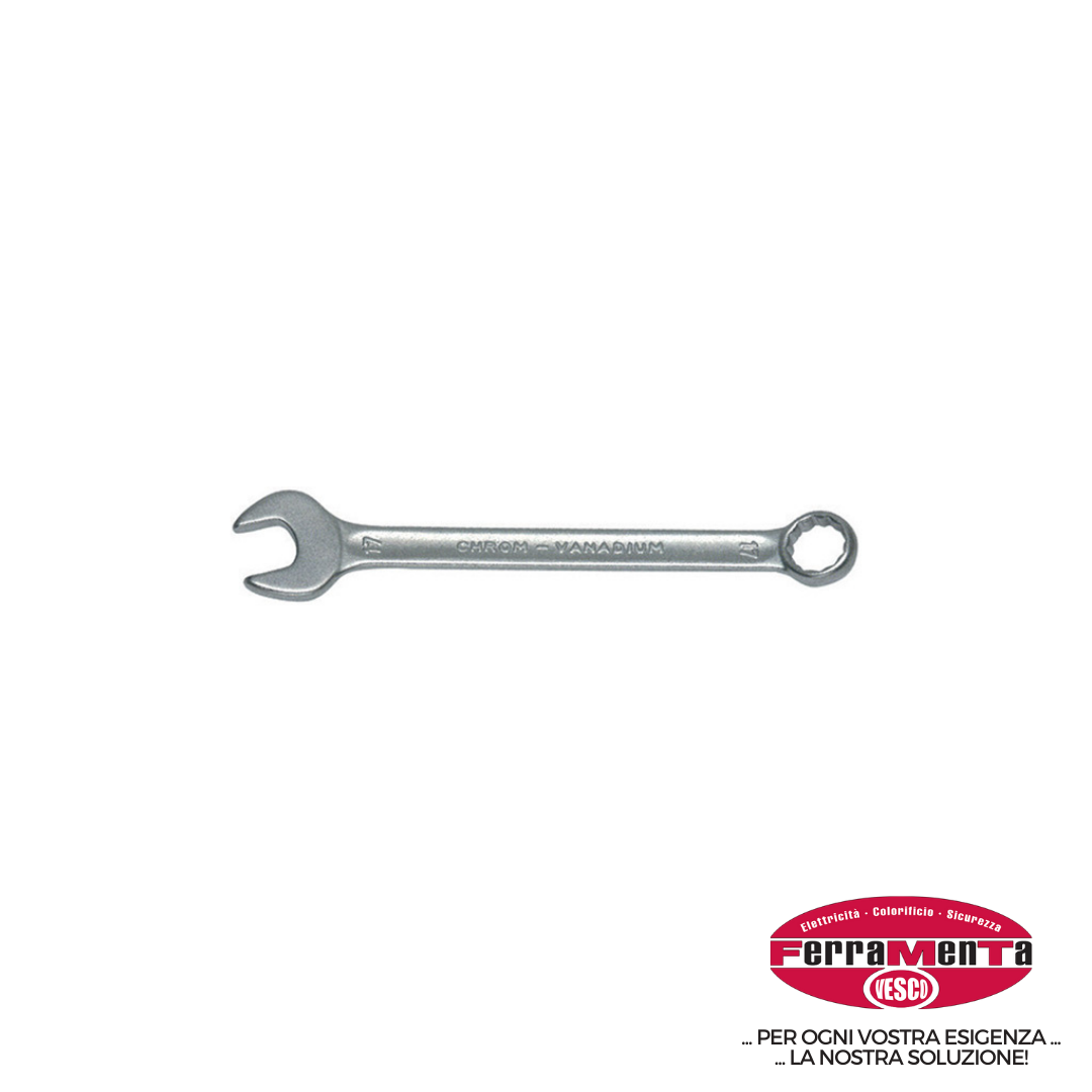 CHIAVI COMBINATE LIONS