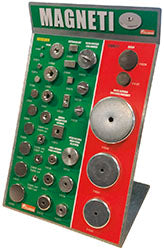 ASSORTIMENTO MAGNETI LIONS