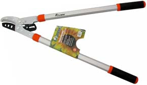 TAGLIARAMI CON CRICCO TAGLIO A BATTUTA LIONS 902W