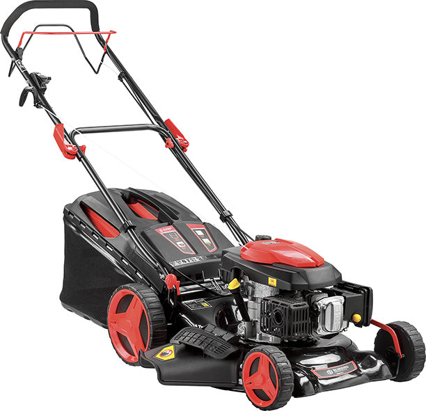 RASAERBA A SCOPPIO BLUE BIRD