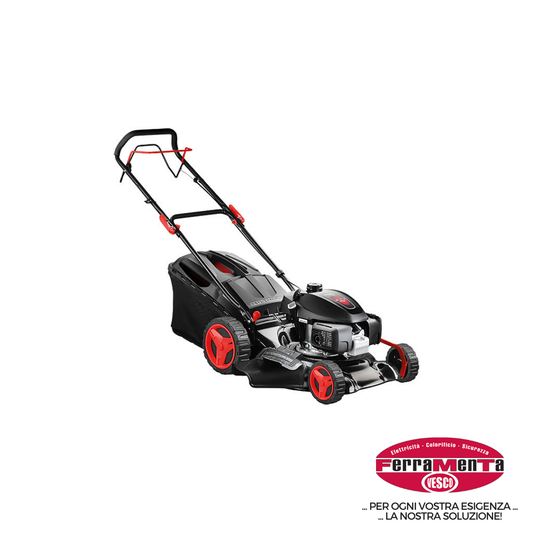 RASAERBA A SCOPPIO BLUE BIRD