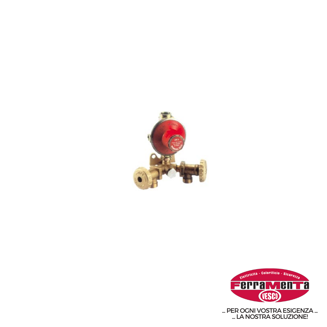 REGOLATORE GAS
