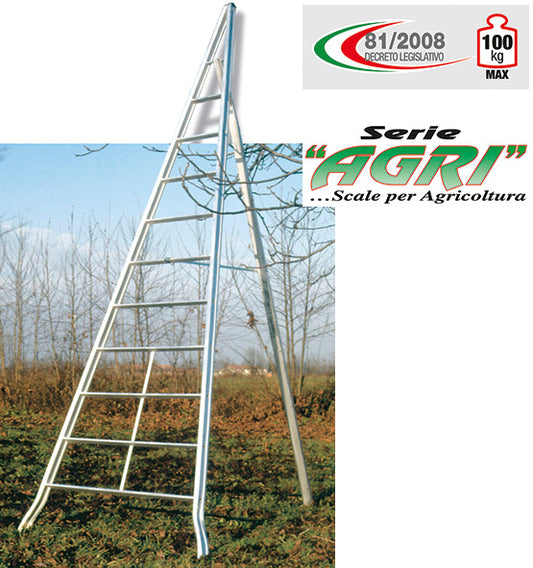 SCALE