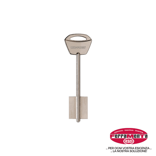 CHIAVI MULTLOCK S MATRIX MM.100  DM (Pezzi per confezione: 5) (Cod.art. 879348)